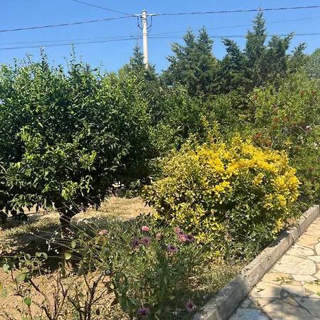 Andrea Appartement Zverneci