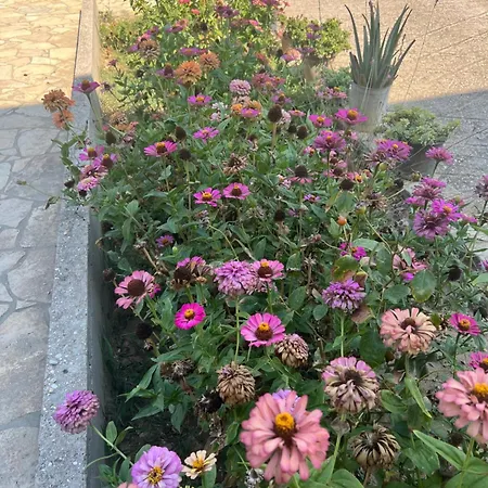 Andrea Appartement Zverneci