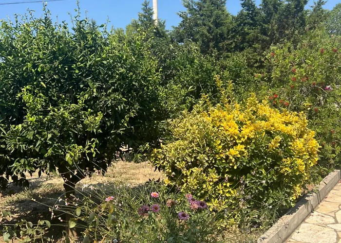 Andrea 公寓 Zverneci