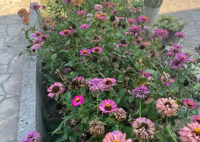 Andrea 公寓 Zverneci